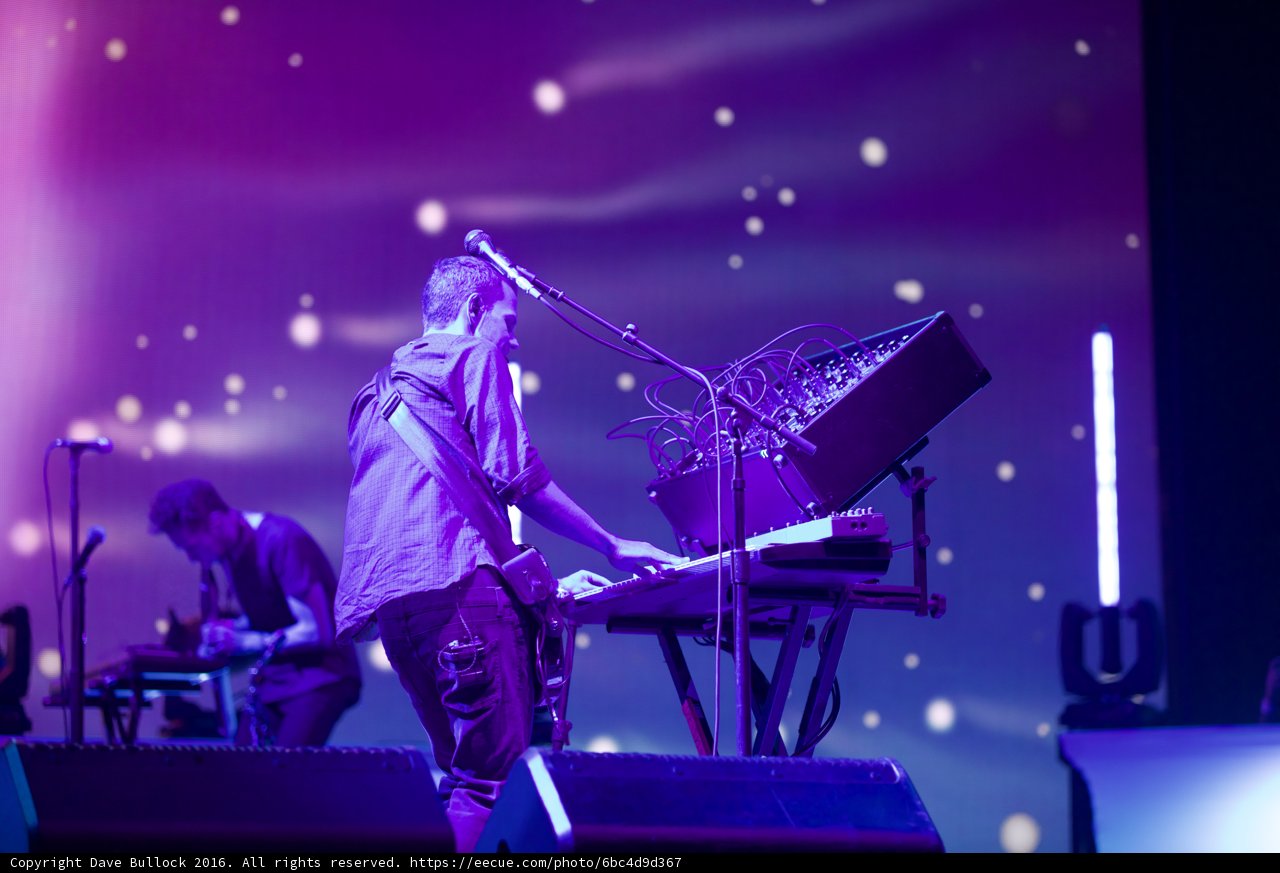 Purple Musician