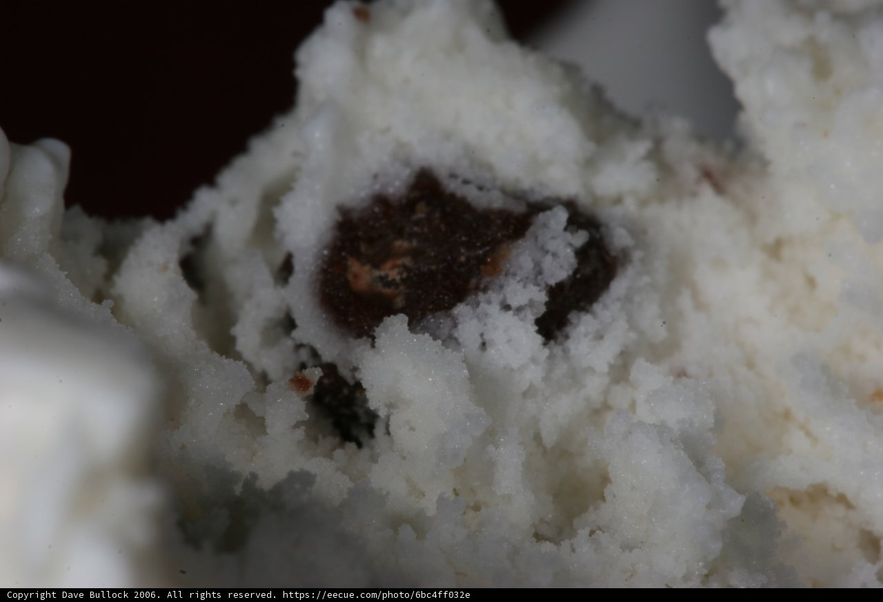 Indulging in Winter Treats