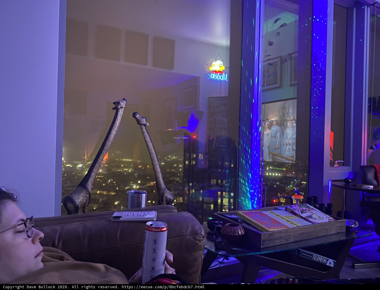 A Night in the City