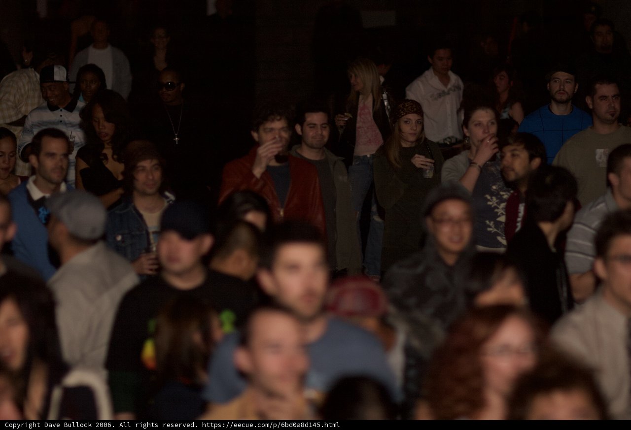 Party in the Crowd