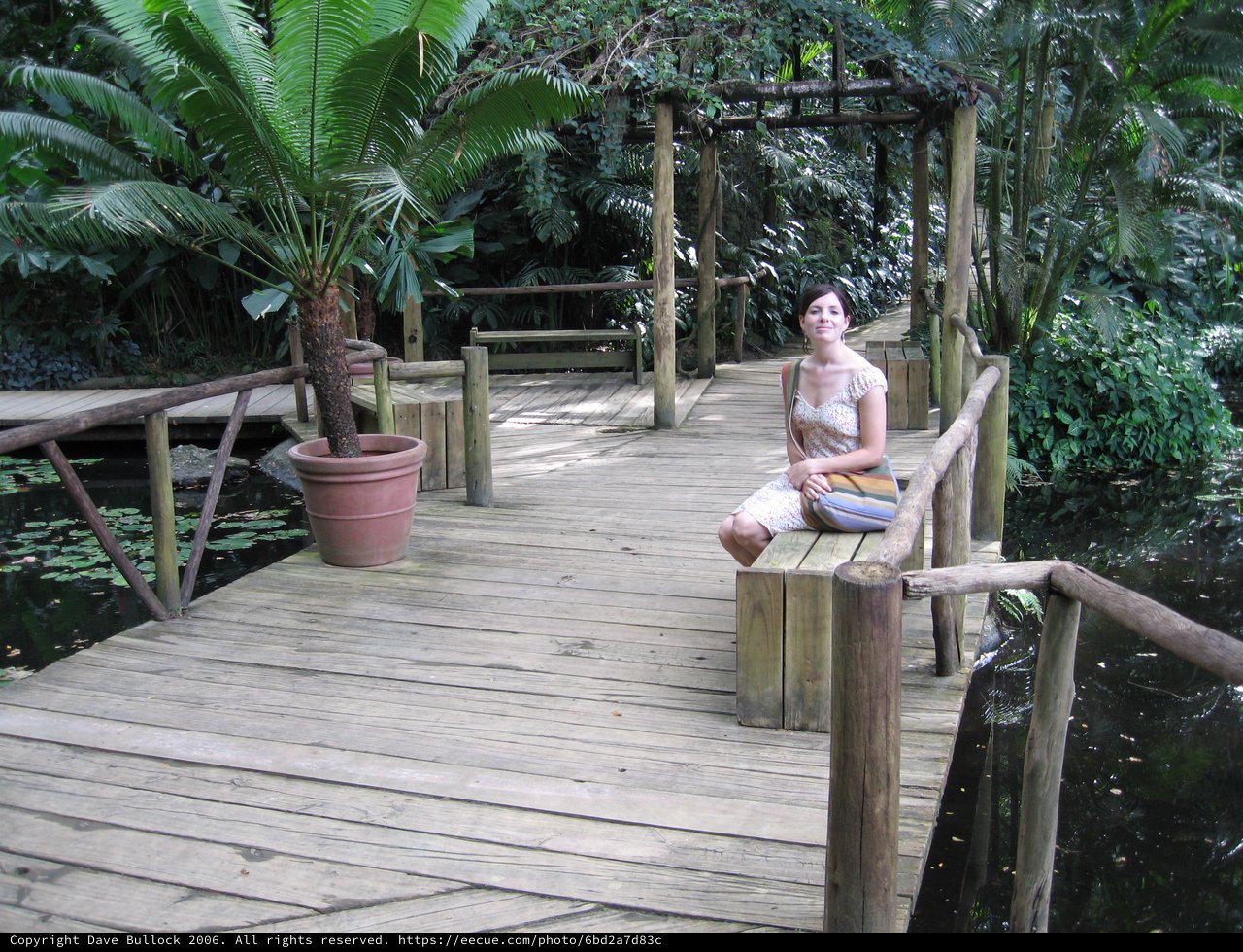 Woman Resting on Wooden Deck in Lush Garden