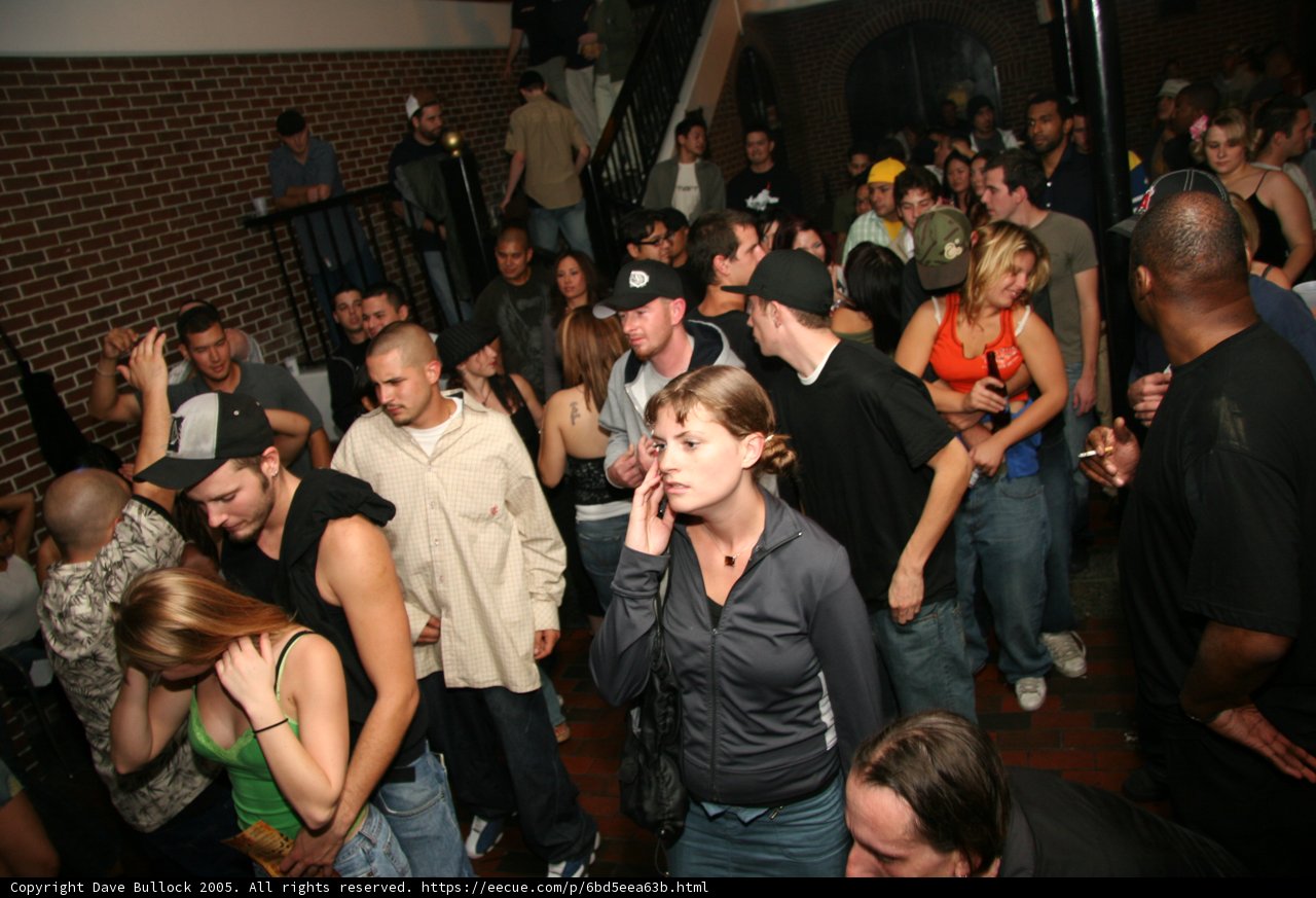 Nightlife in the Urban Jungle