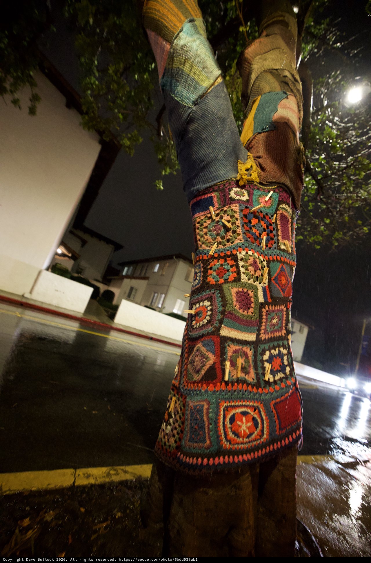 Colorful Crocheted Tree Cozy on Rainy Night
