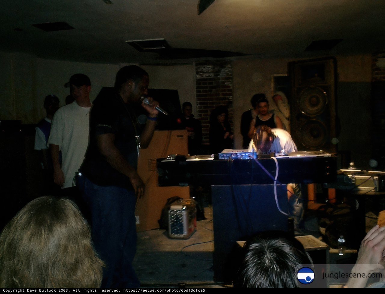 Entertainer Playing Keyboard