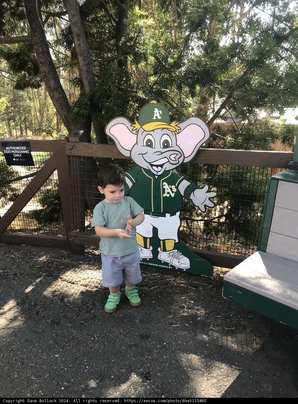 Wesley's Wild Adventure