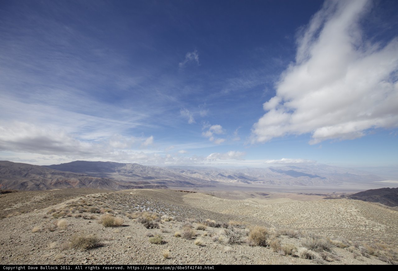 Standing Above the Desert