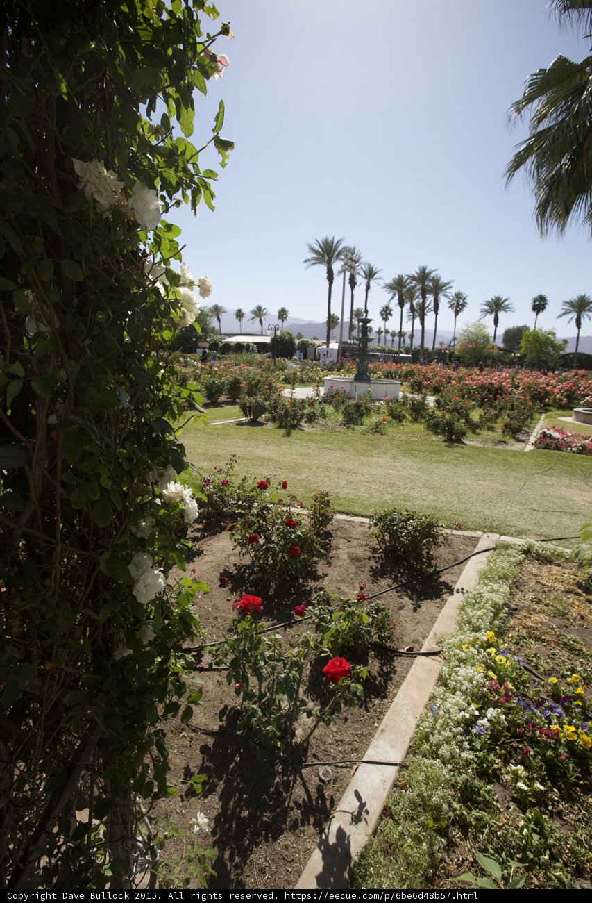 A Walk in the Garden