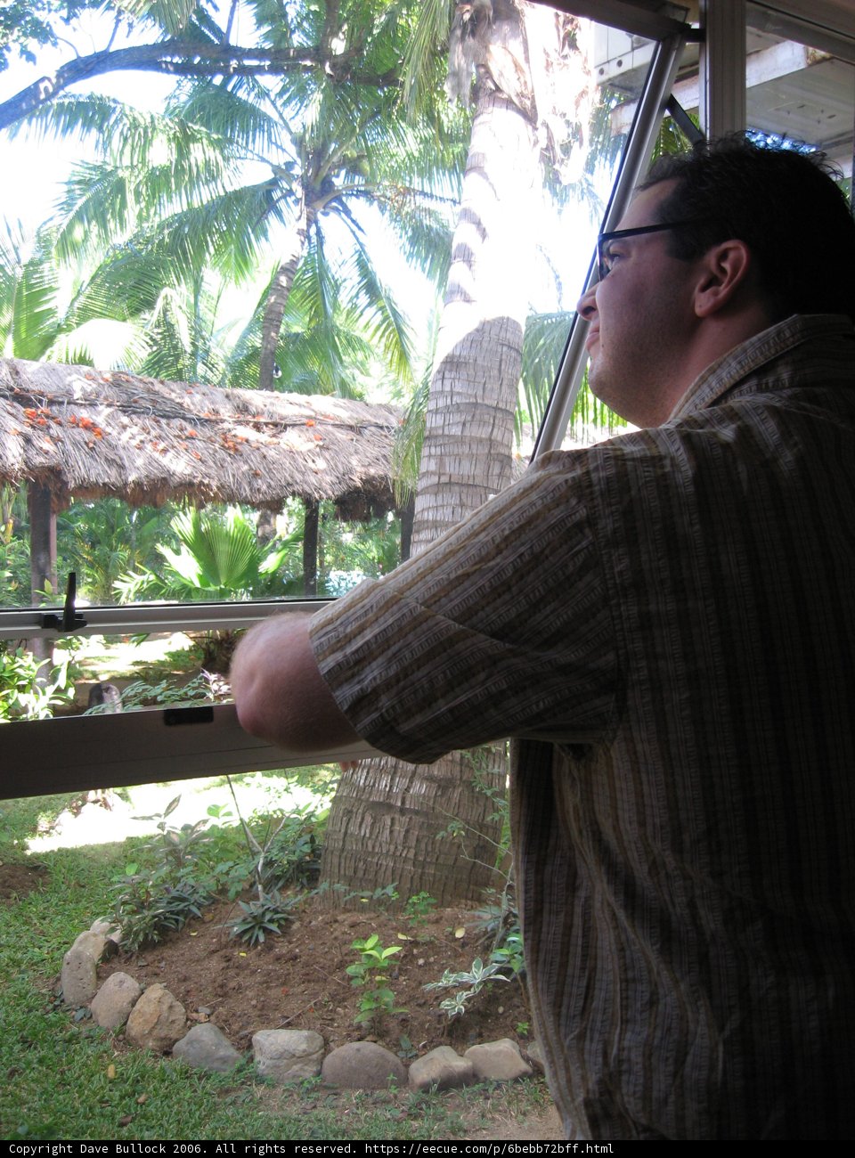 Tropical View from the Porch