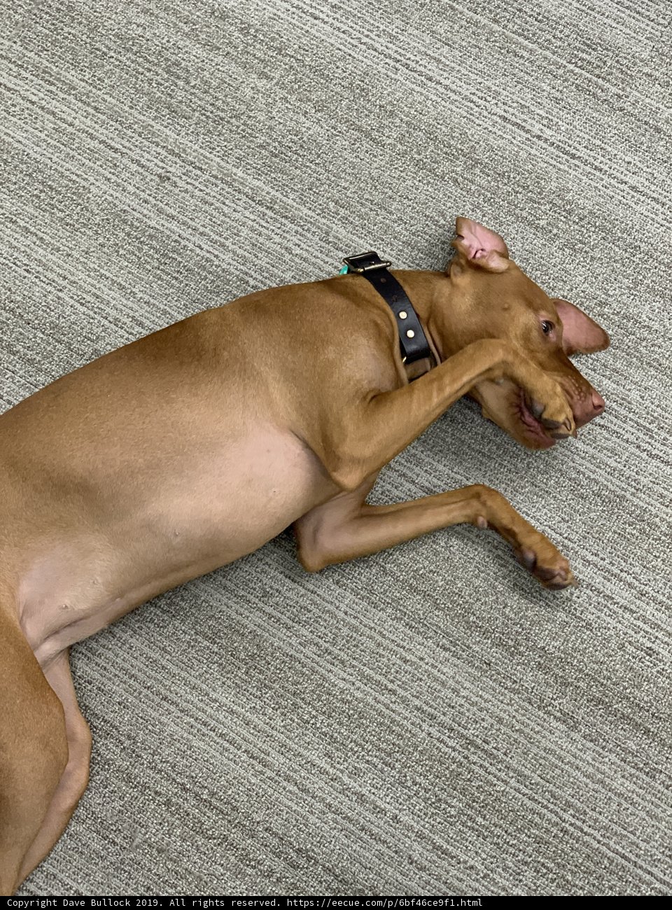 Lazy Afternoon