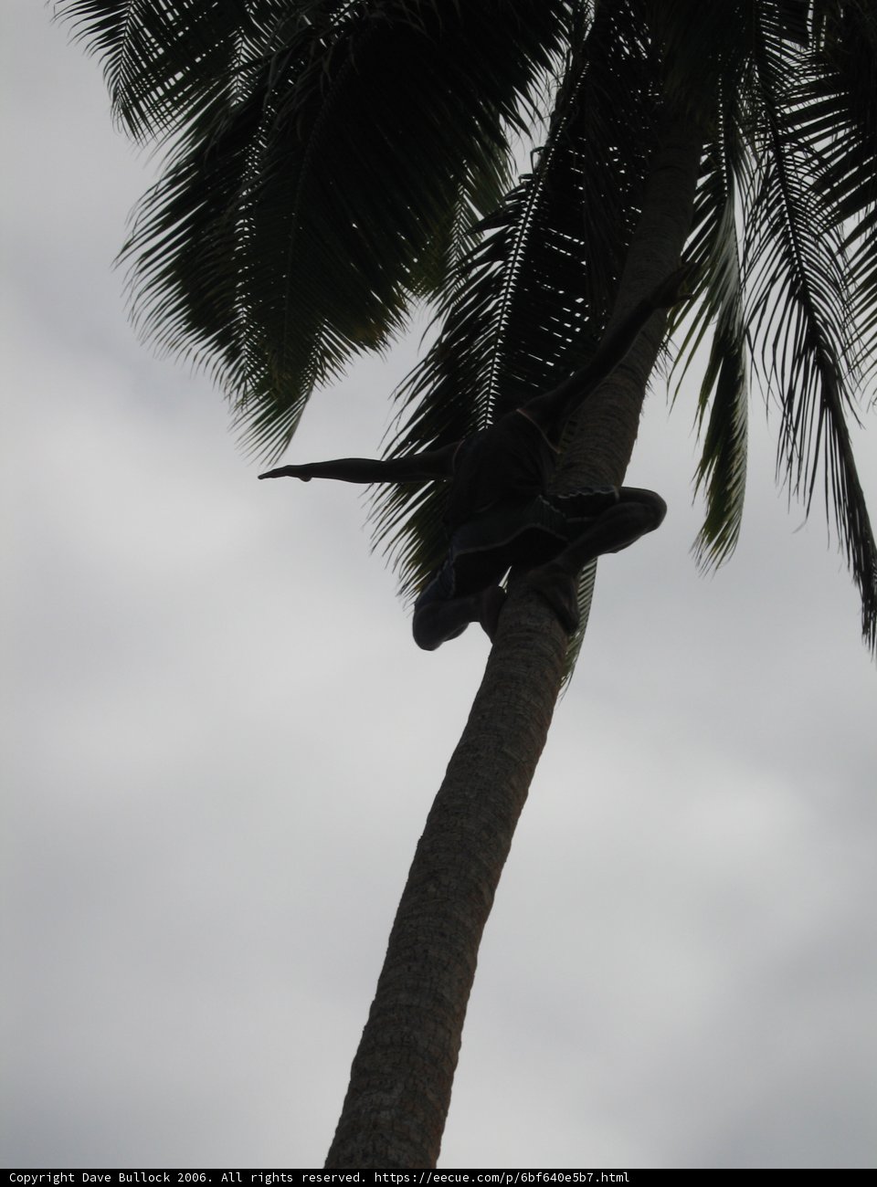 Scaling New Heights