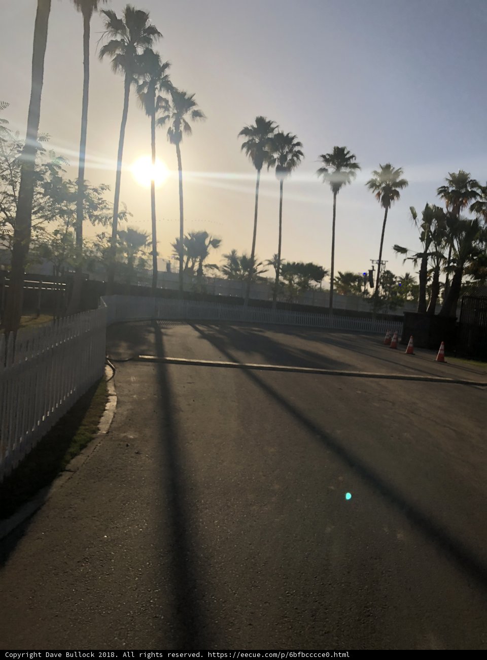 Sunset over Palm Trees