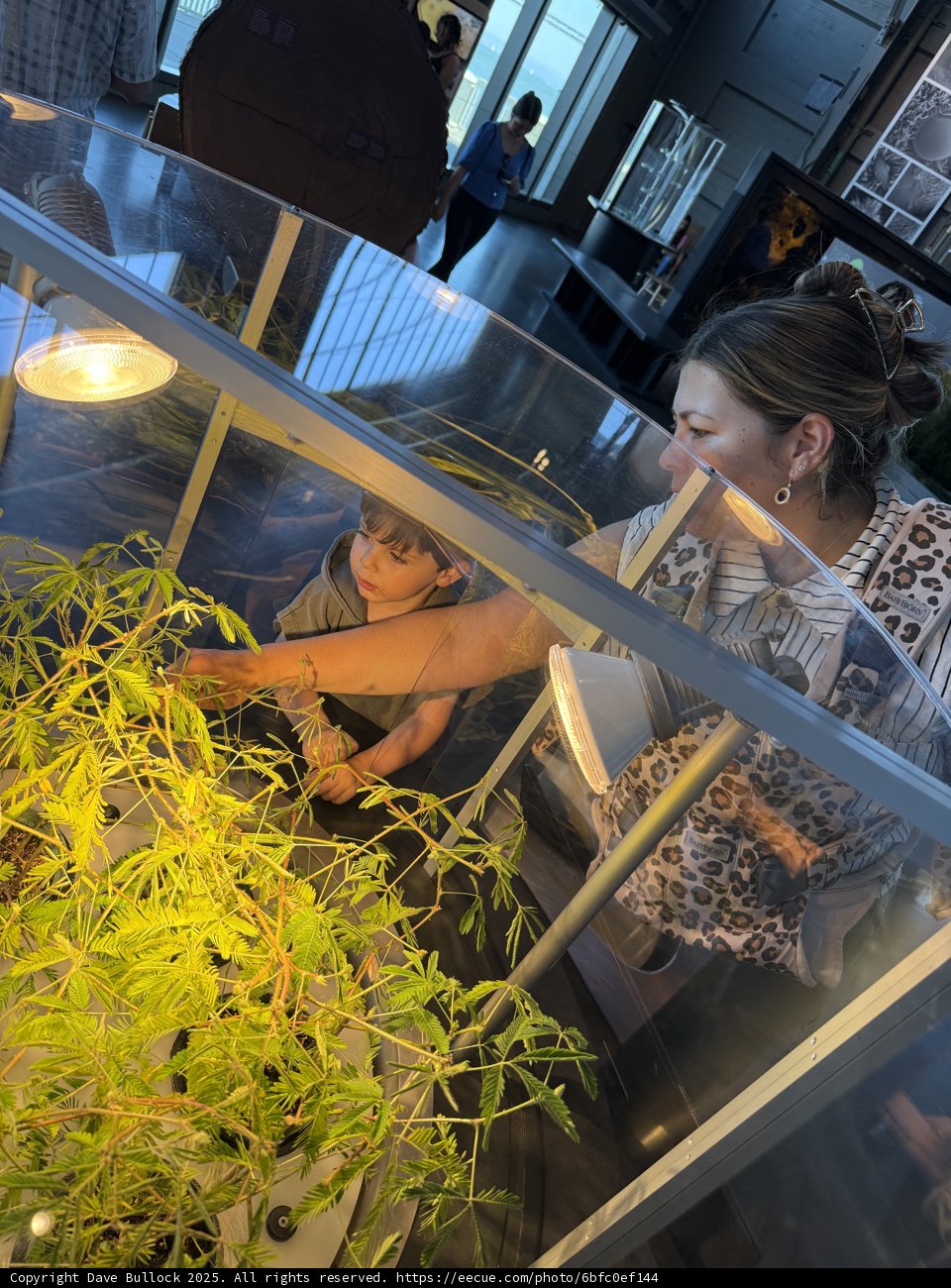 Curious Minds at the Aquarium