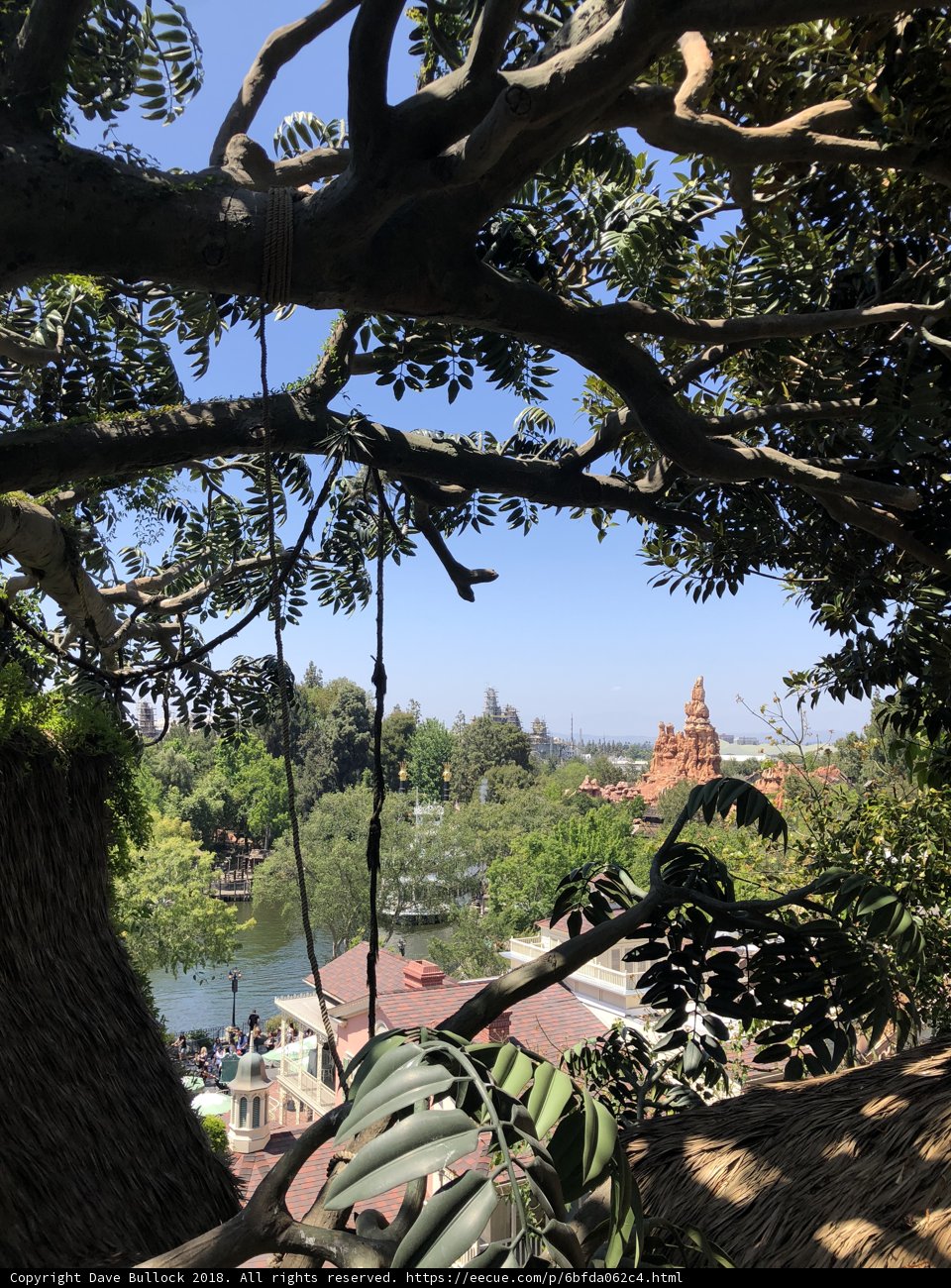 Urban Oasis
