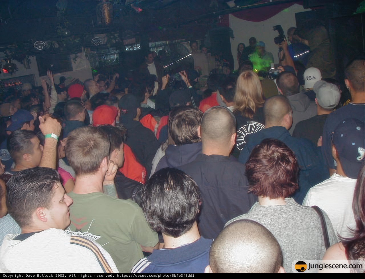 Nightclub Sensations