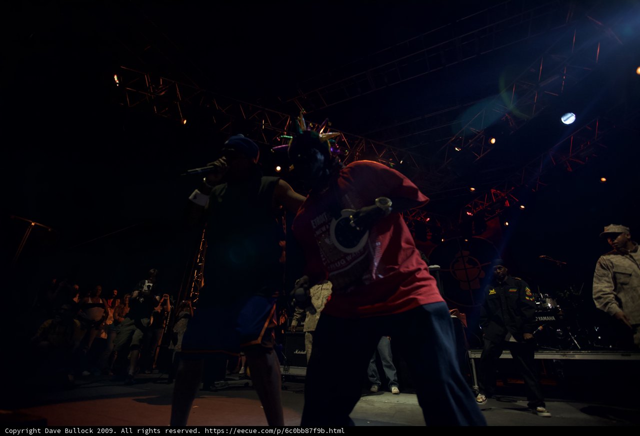 Live Performance at Coachella Music Festival