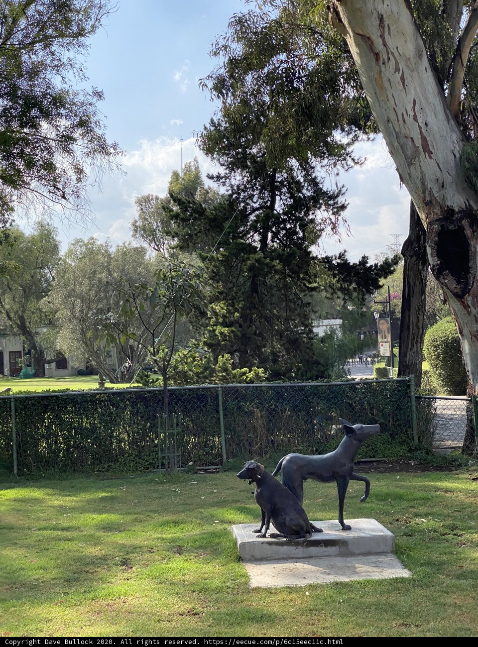 Canine Statuesque Duo