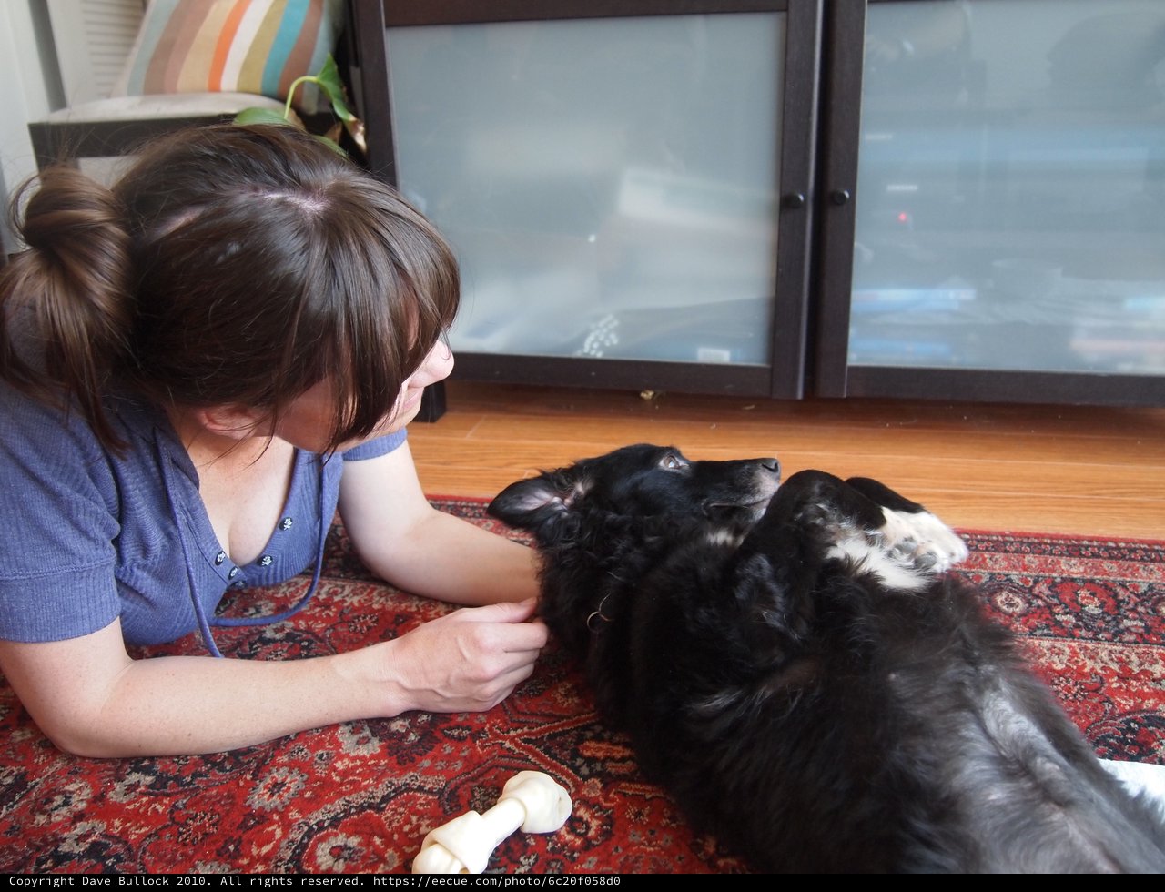 Woman and Dog Share a Tender Moment Indoors