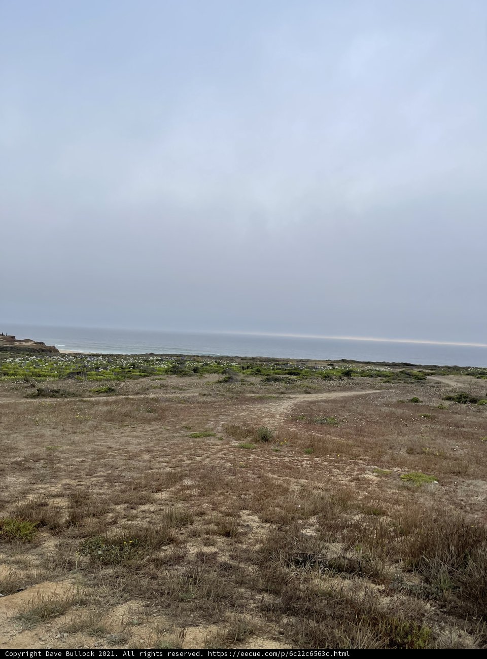 Serene Vista