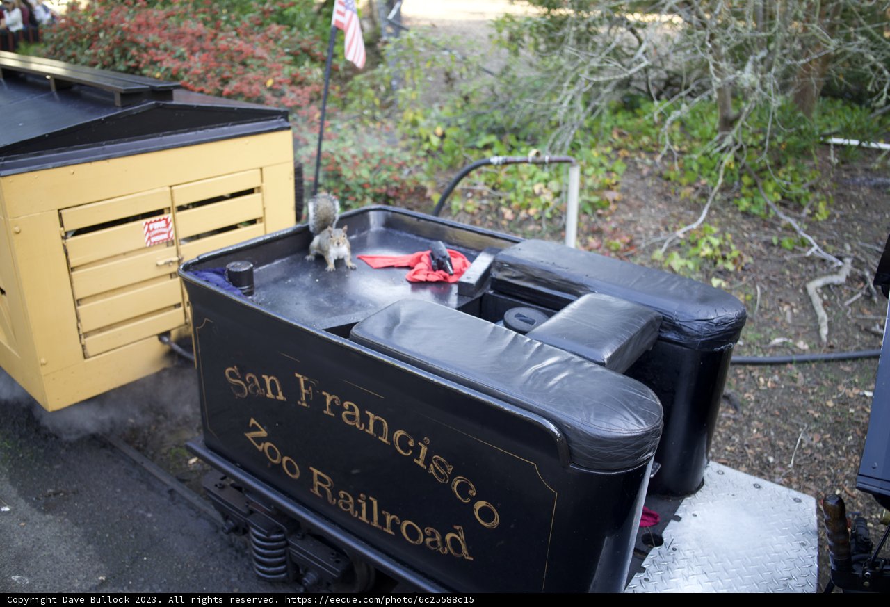 Little Engine Adventure at SF Zoo