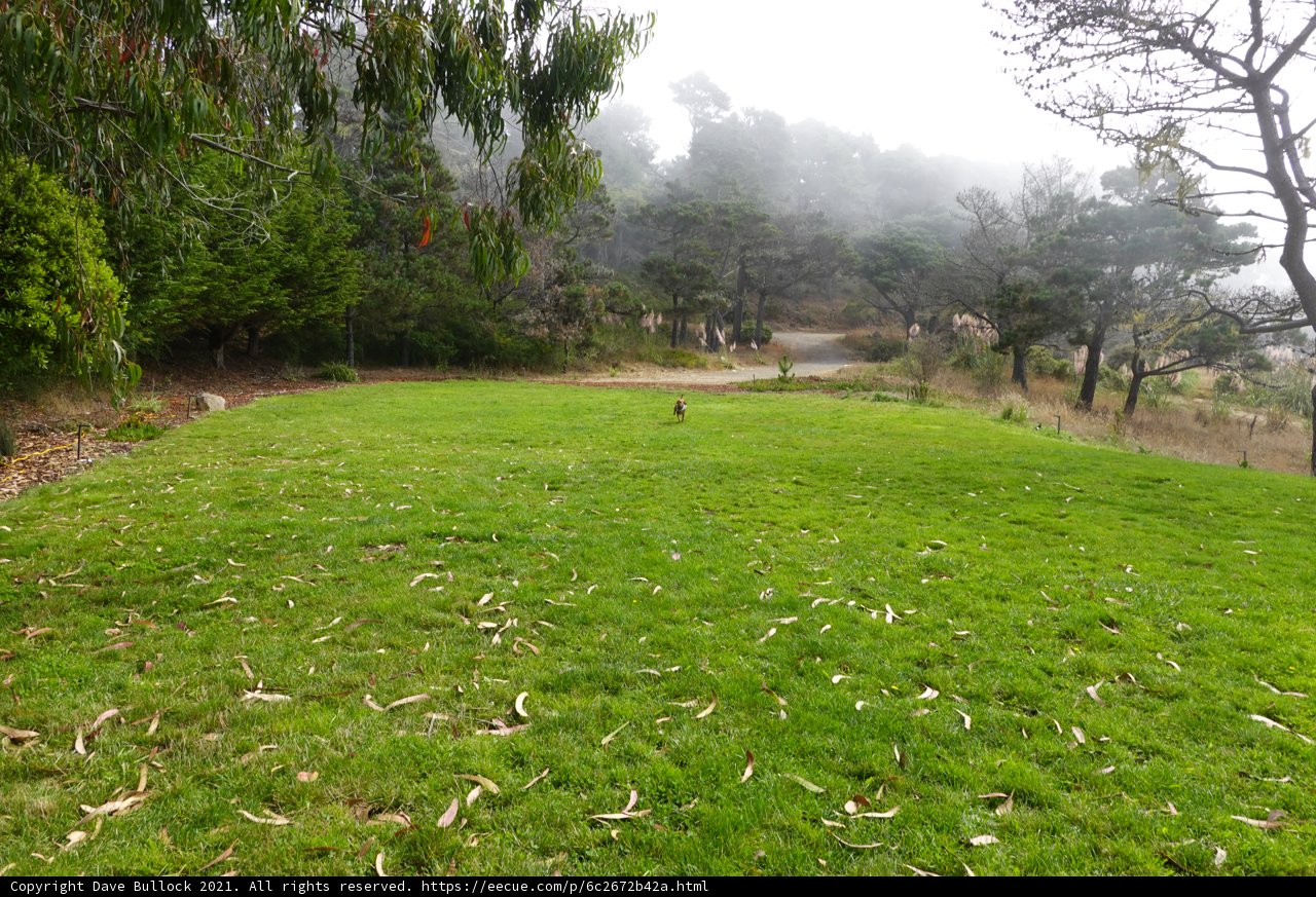 Serene countryside landscape with a fire hydrant