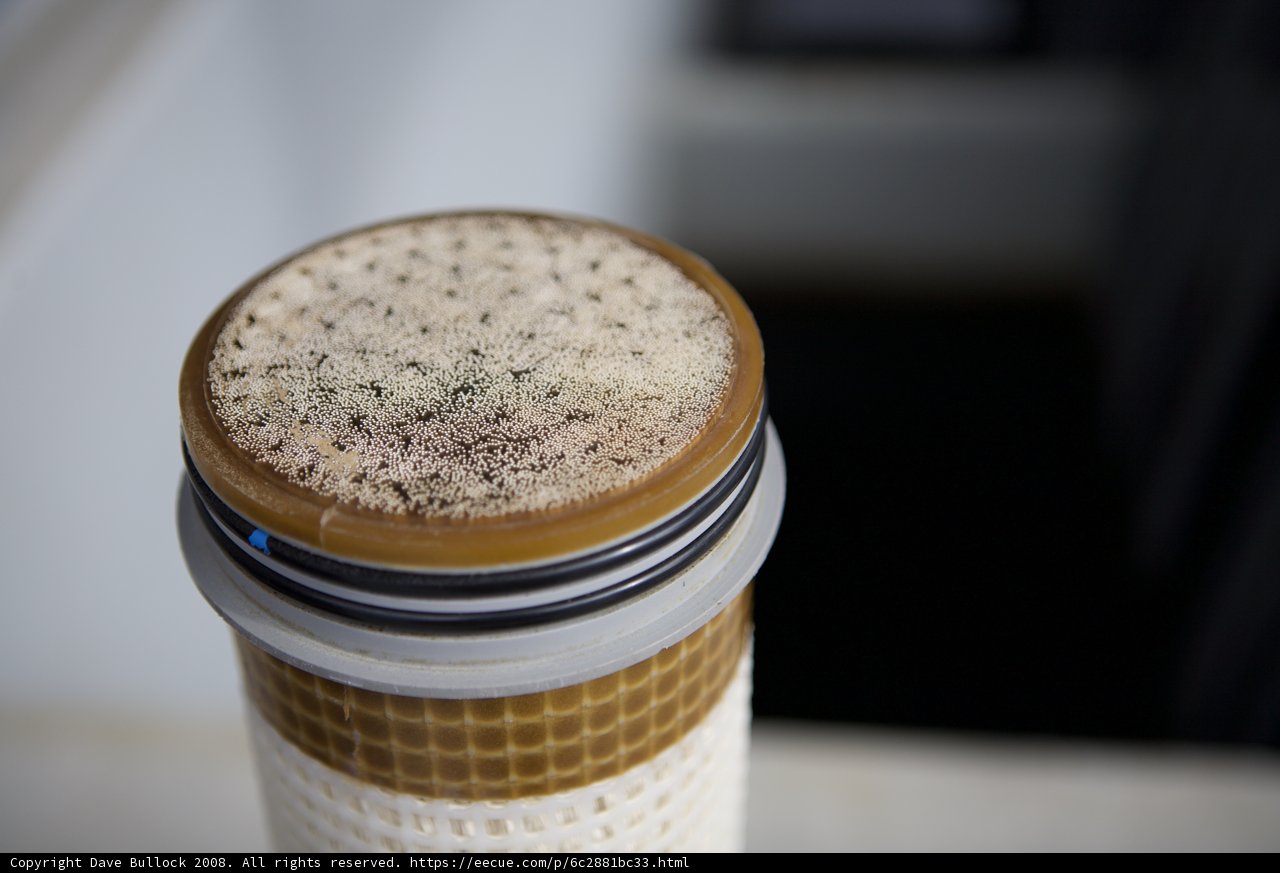 White-Capped Beverage Container