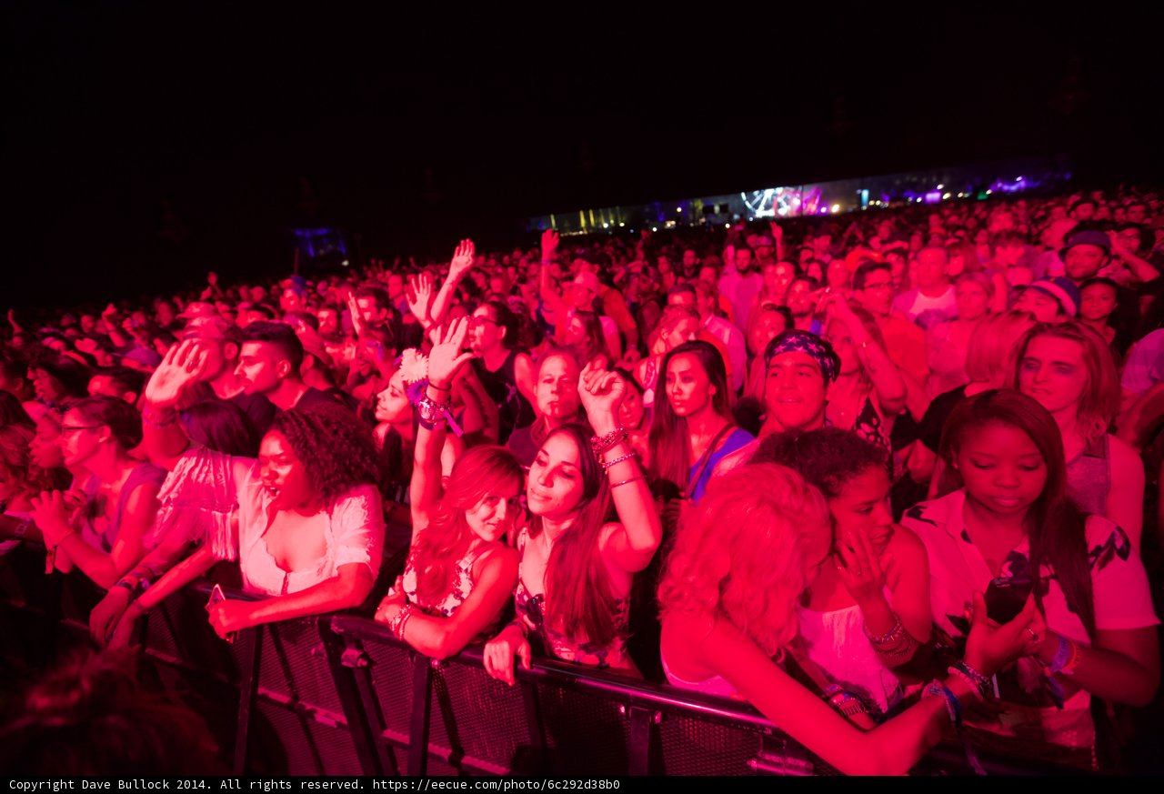 Hands in the Air at Coachella