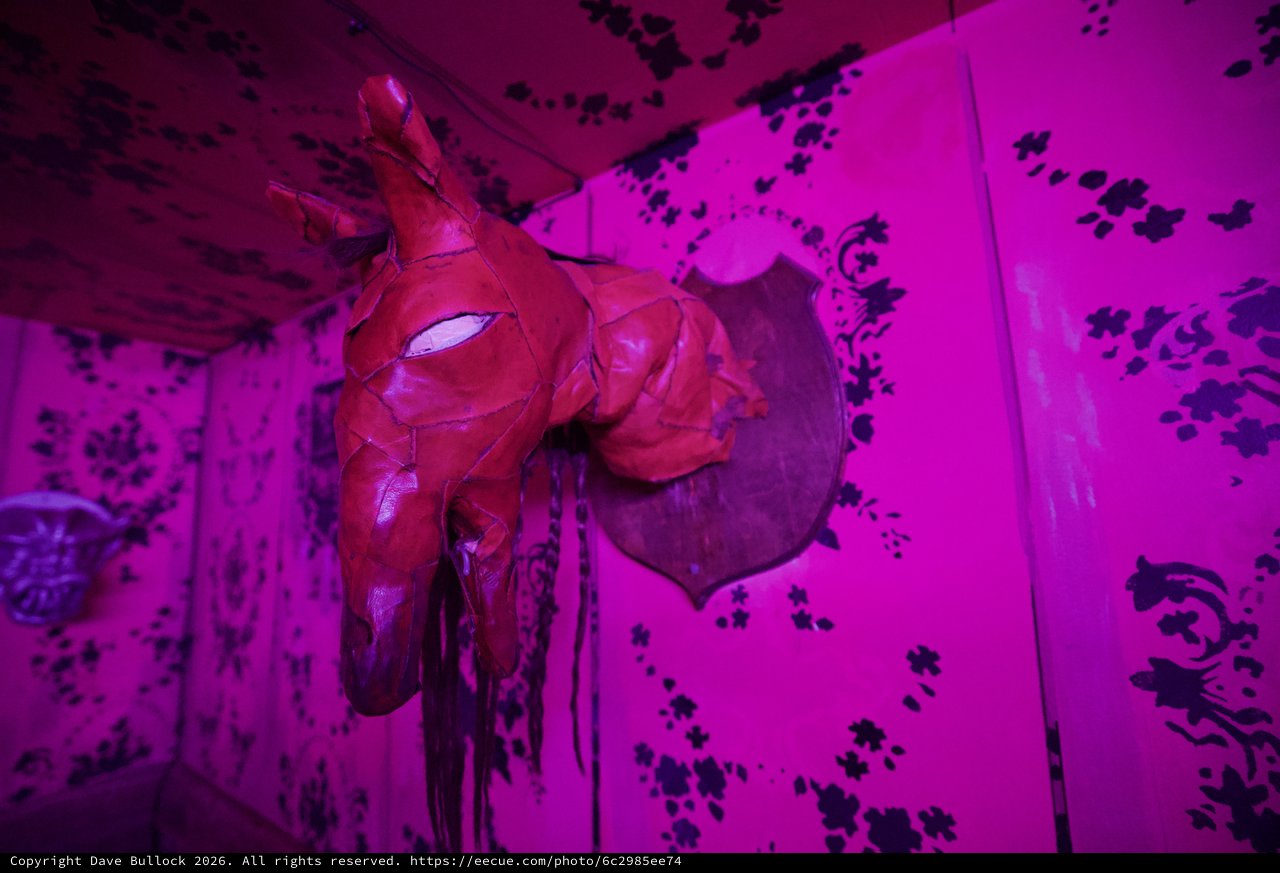Red Sculptural Horse Head in Magenta-Lit Gallery