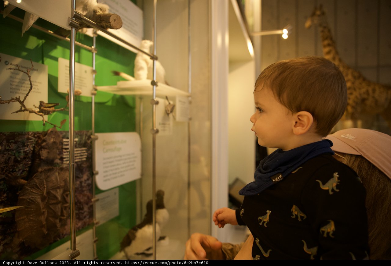 Wesley's Day at the Museum