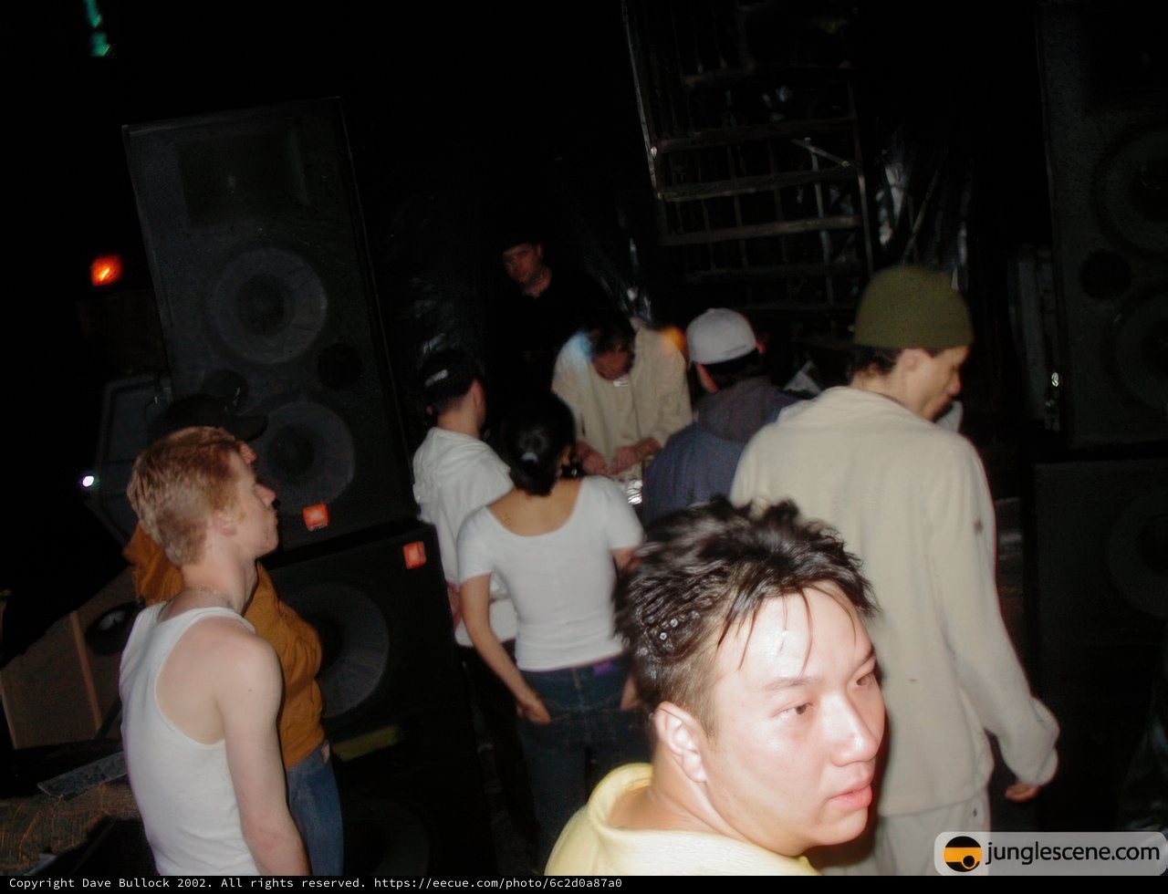 Nightclub Gathering