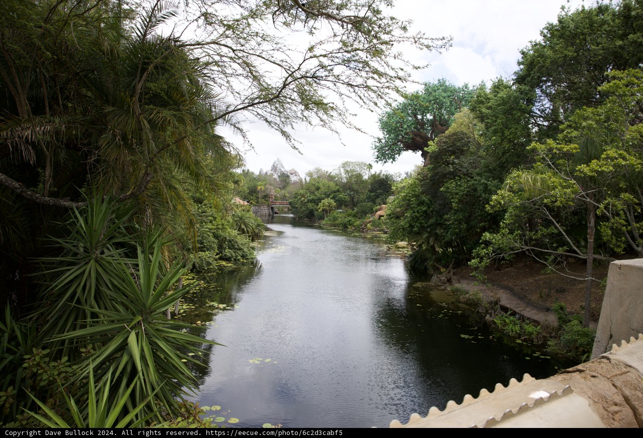 The Serene Waters of Disneyworld's Animal Kingdom