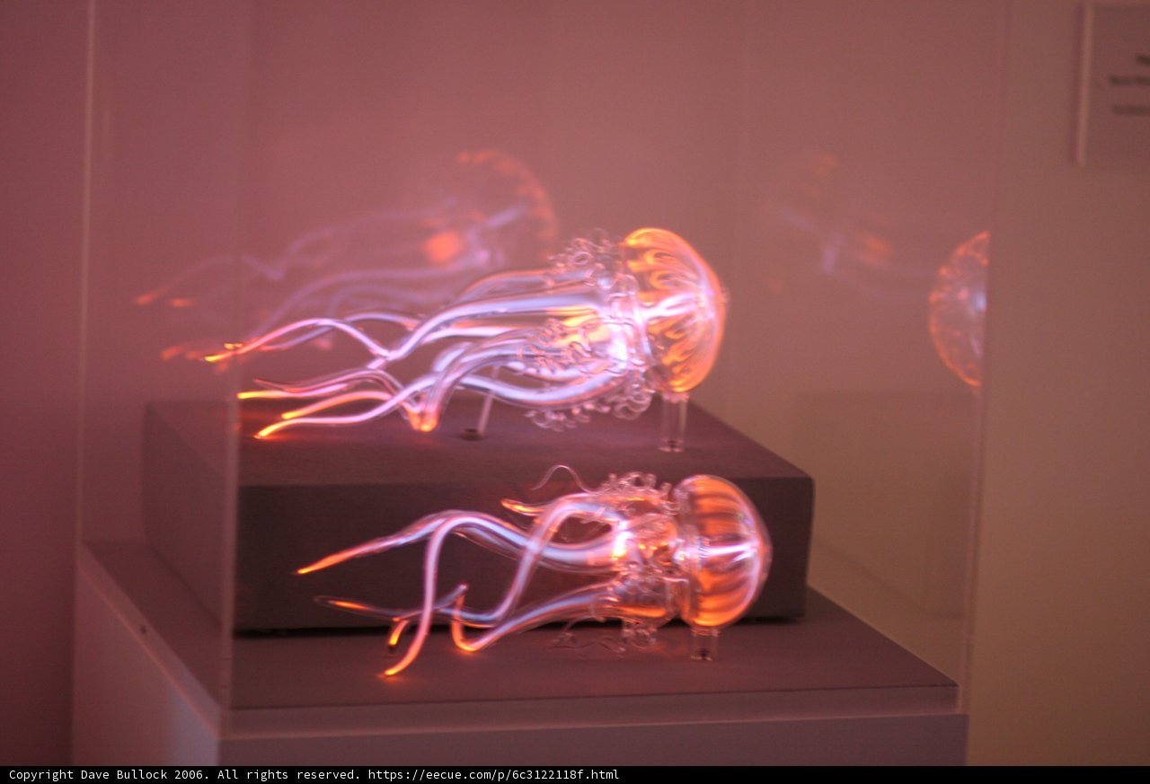 Illuminated Jellyfish Dance in Museum of Modern Art