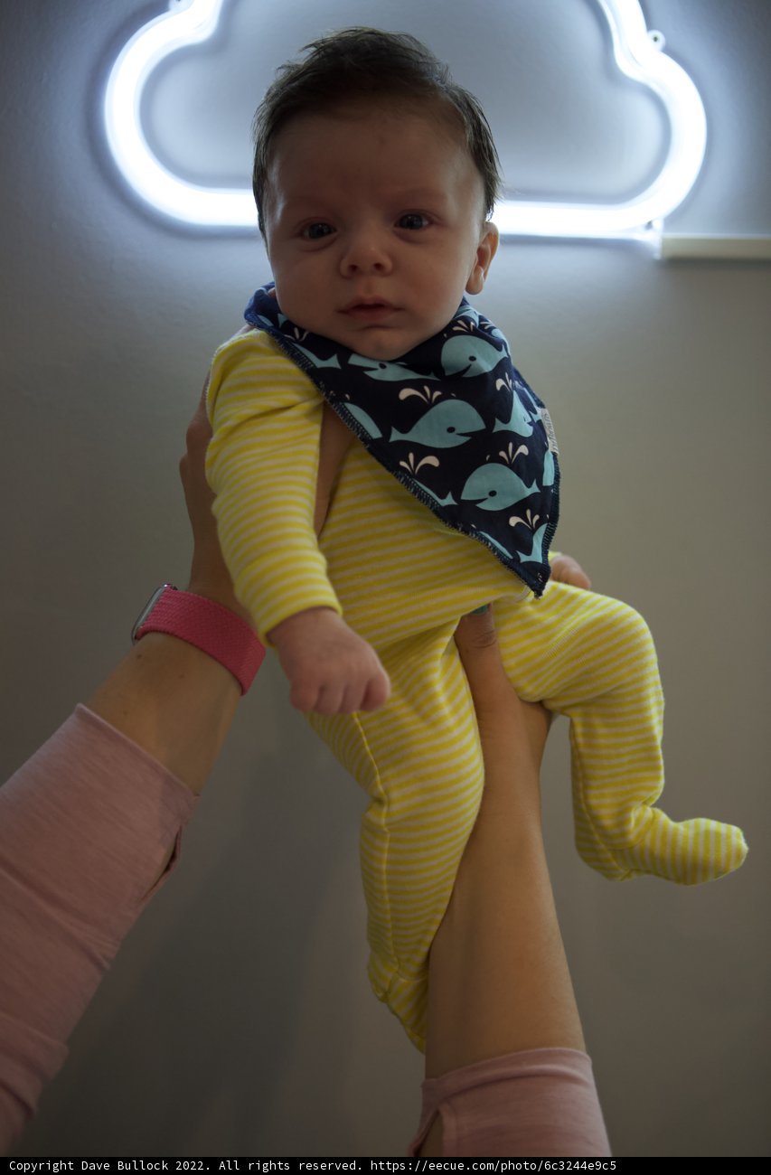 Wesley's Glowing Moment: Neon Light Bib