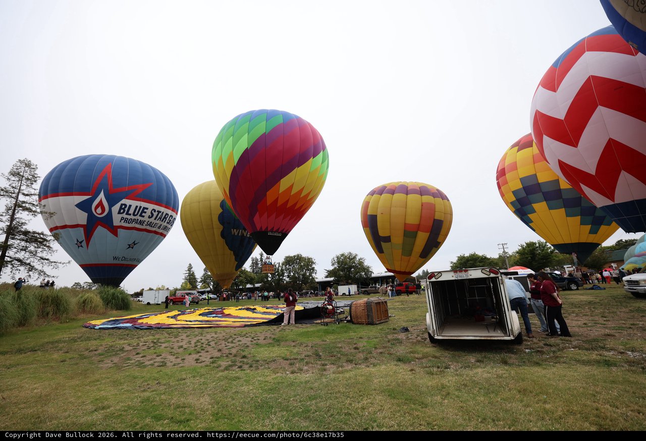 Colorful Hot Air Balloons Launch at Sonoma County Classic