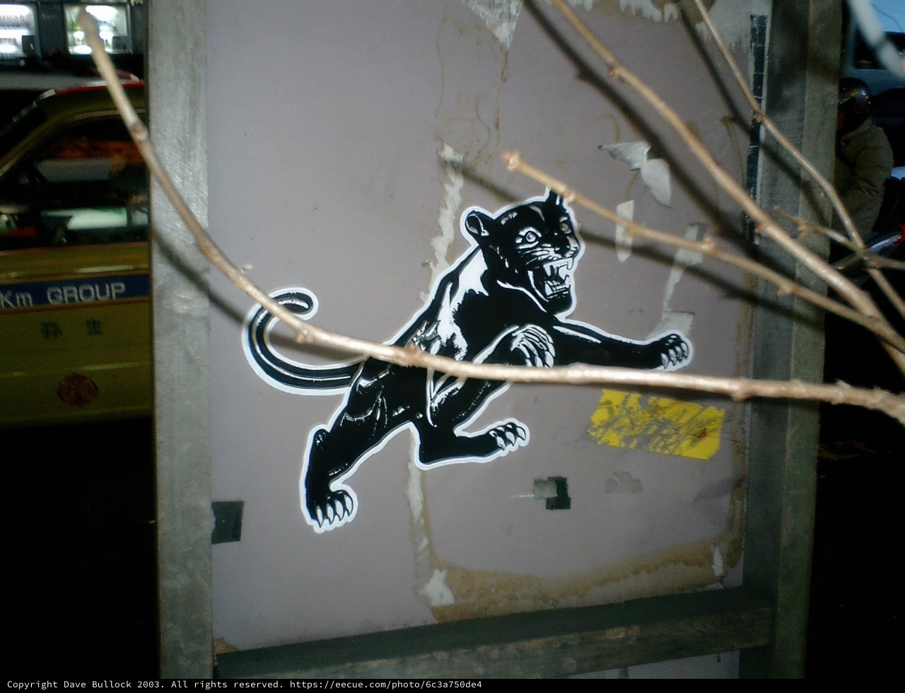 Monkey Business at the Telephone Box
