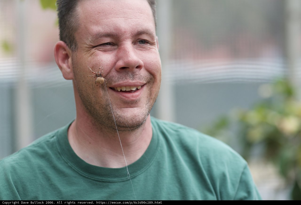 The Nose String