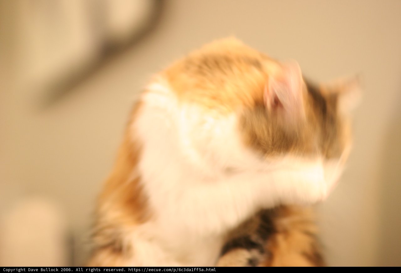 Furry Blurs
