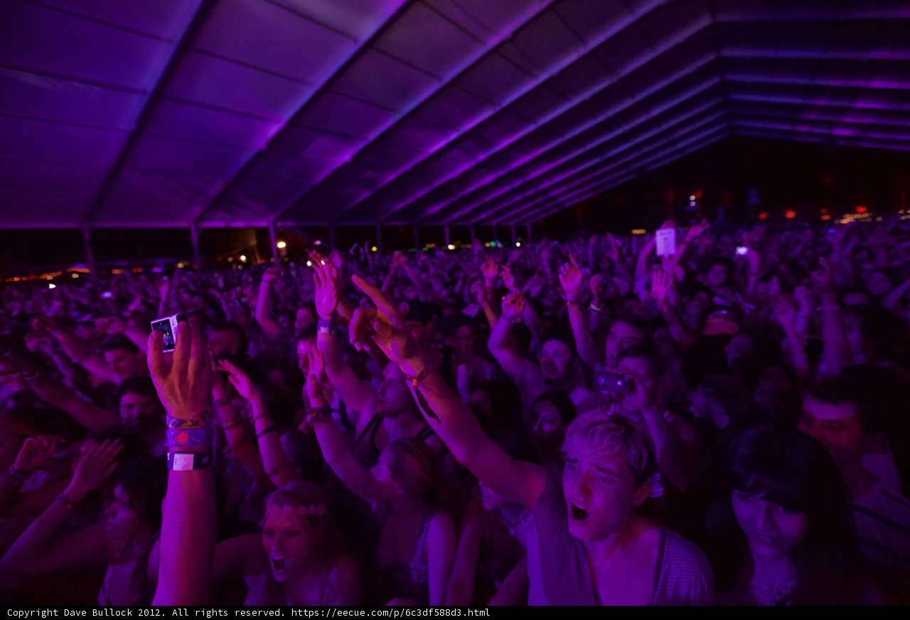 Electric Crowd