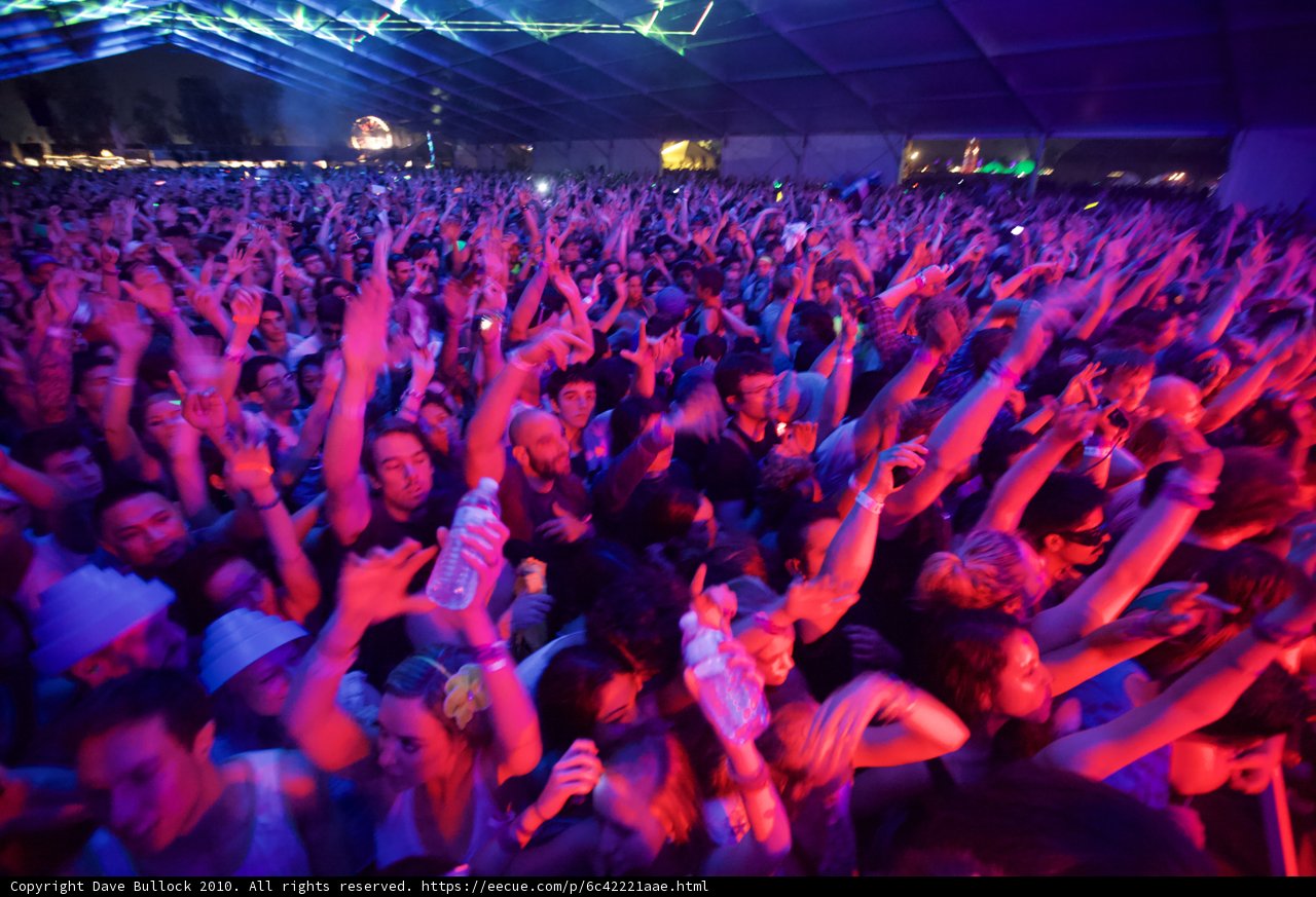 Ecstatic Crowd at Coachella