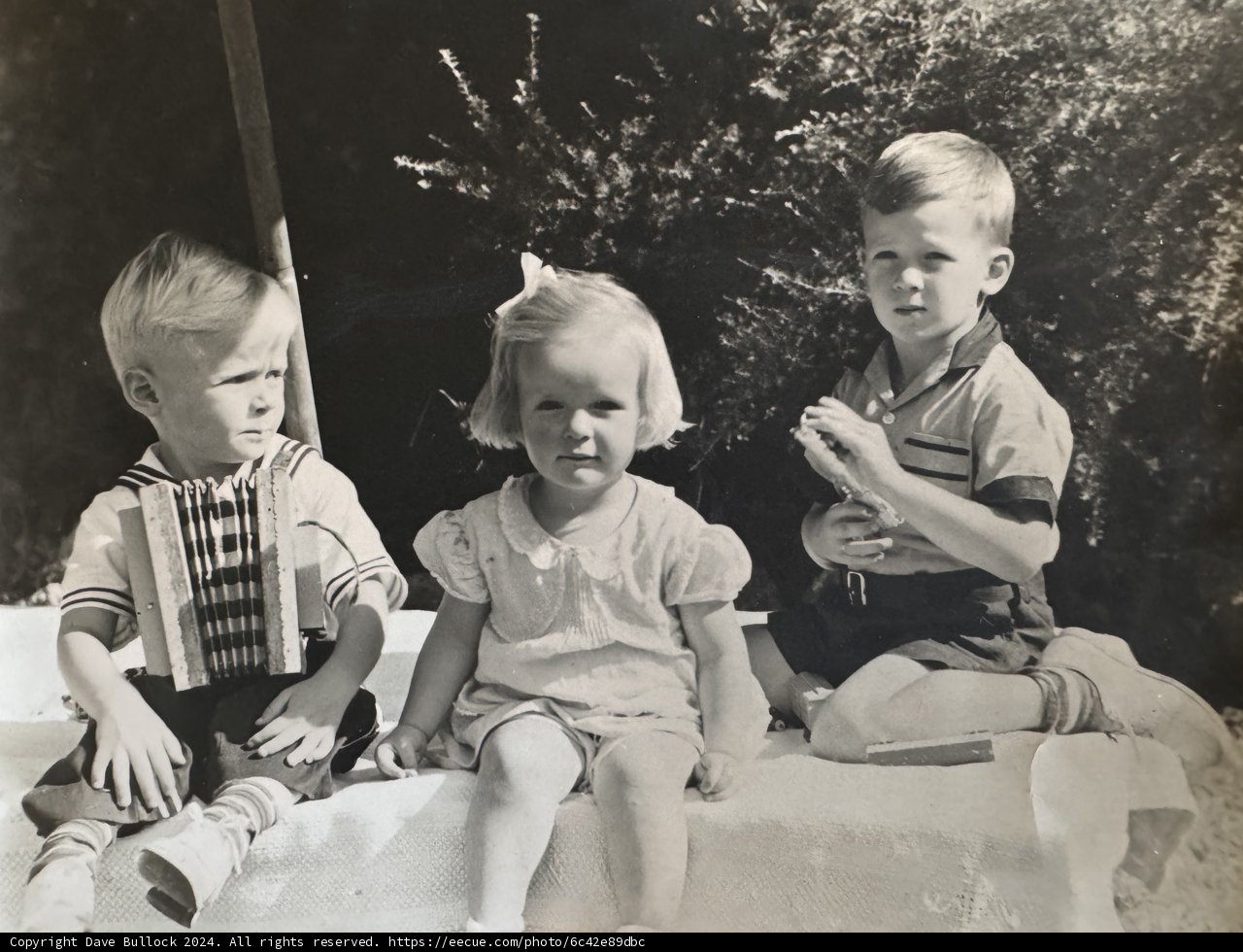 Sweet Summer Moments in Sebastopol