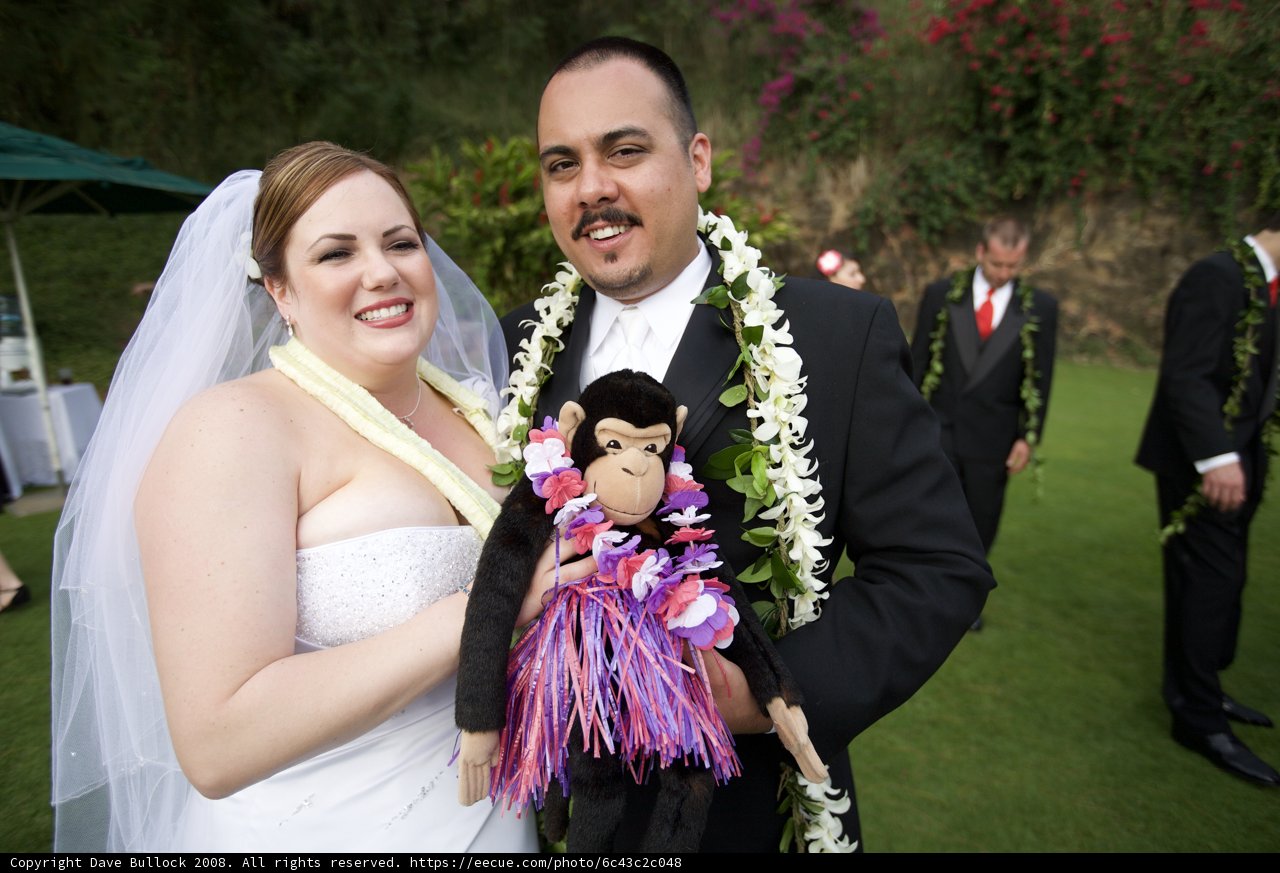Wedding Monkeys