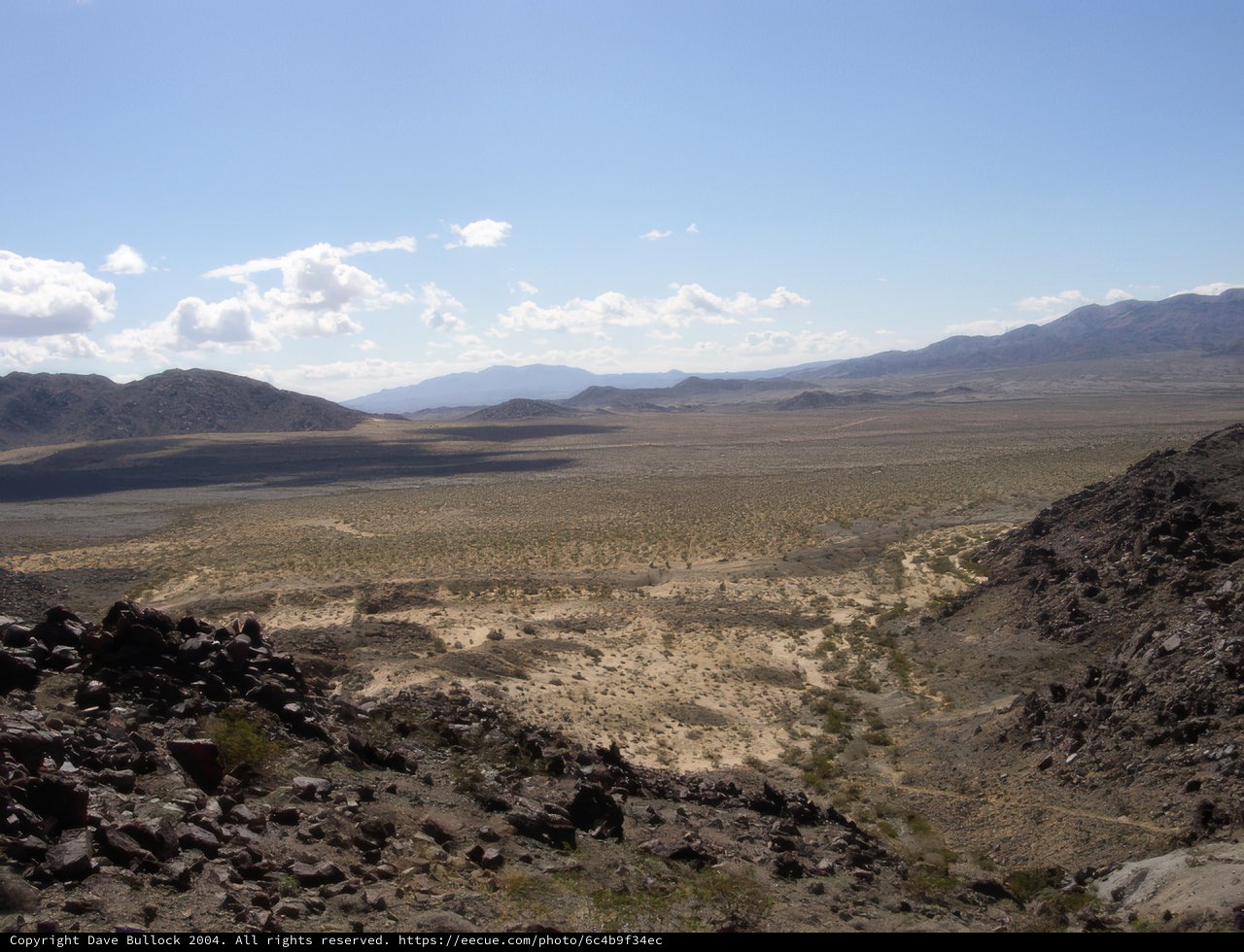 Desert Serenity