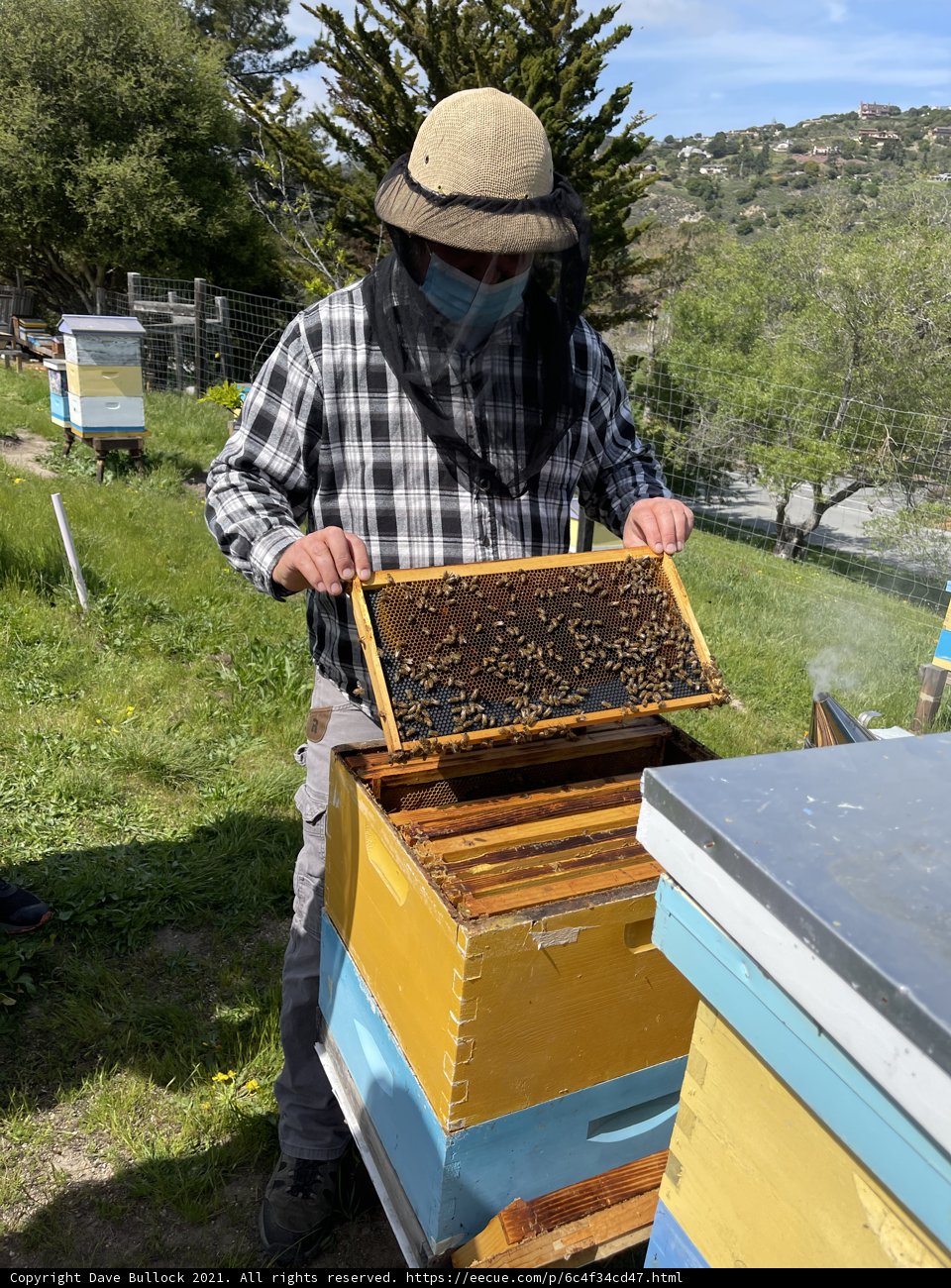 Beekeeper holding a hive