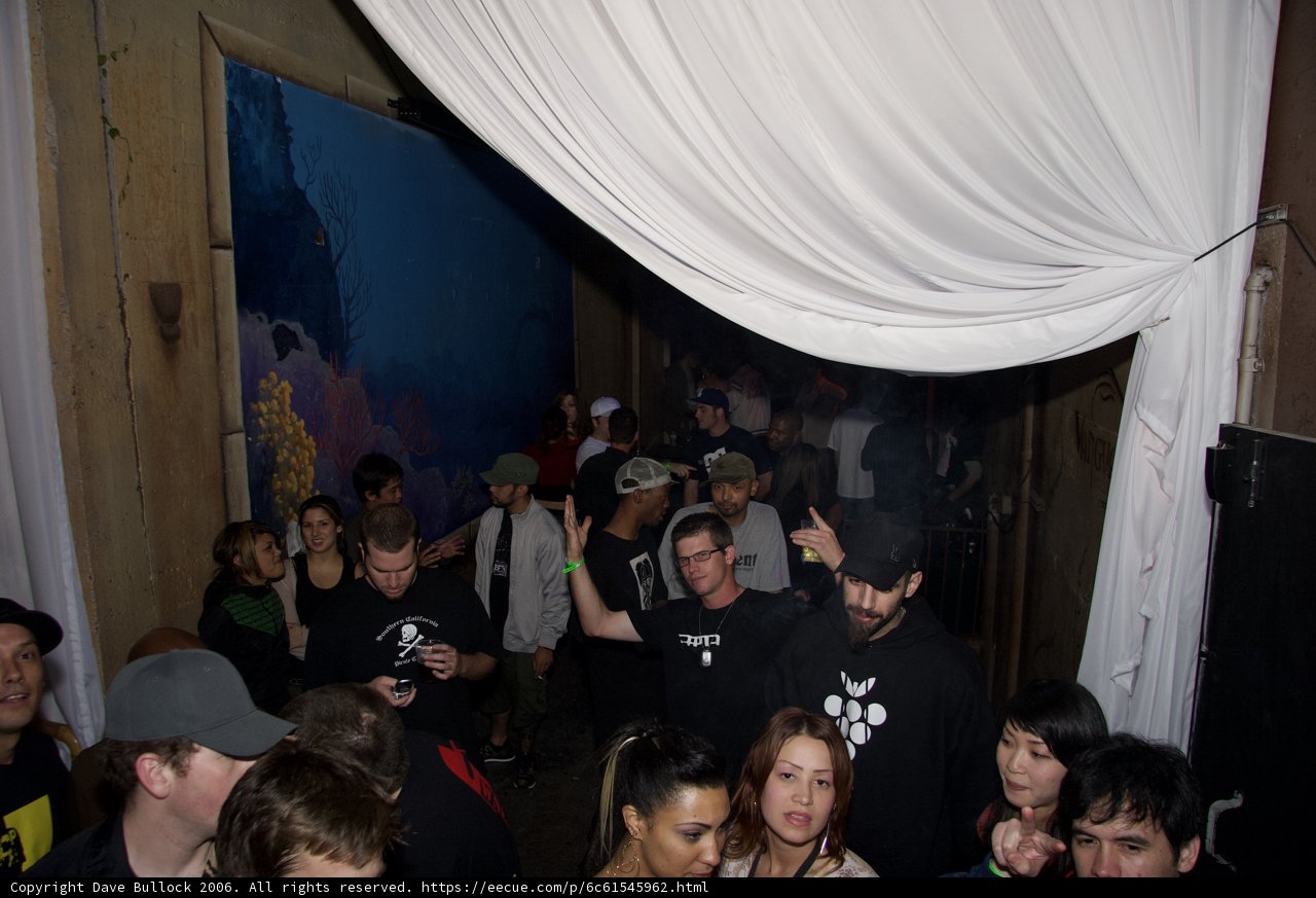 Funky Crowd in Urban Club