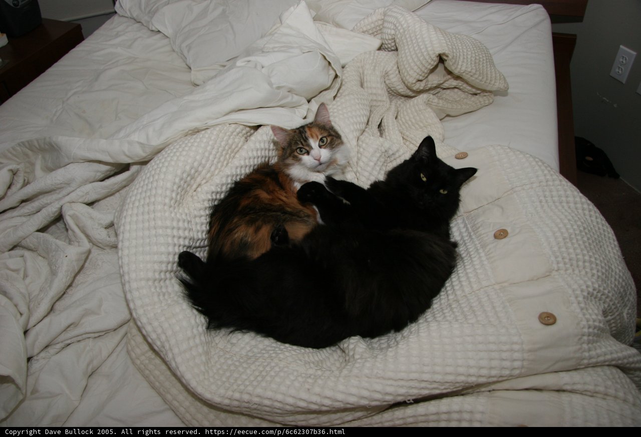 Double Trouble
