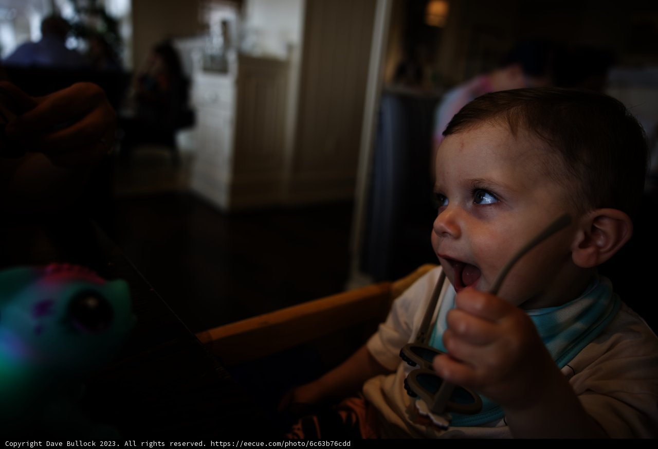 Baby's First Bite