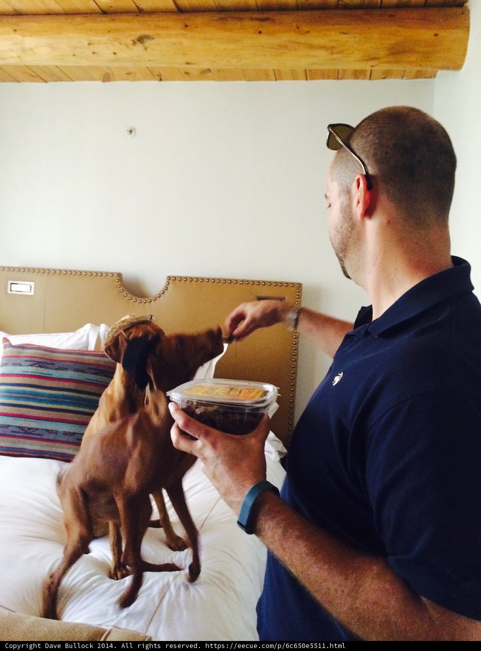 Man Feeds Best Friend on the Bed