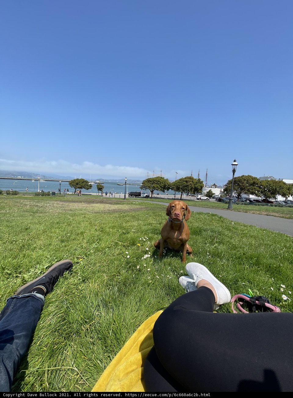 The Perfect Park Day