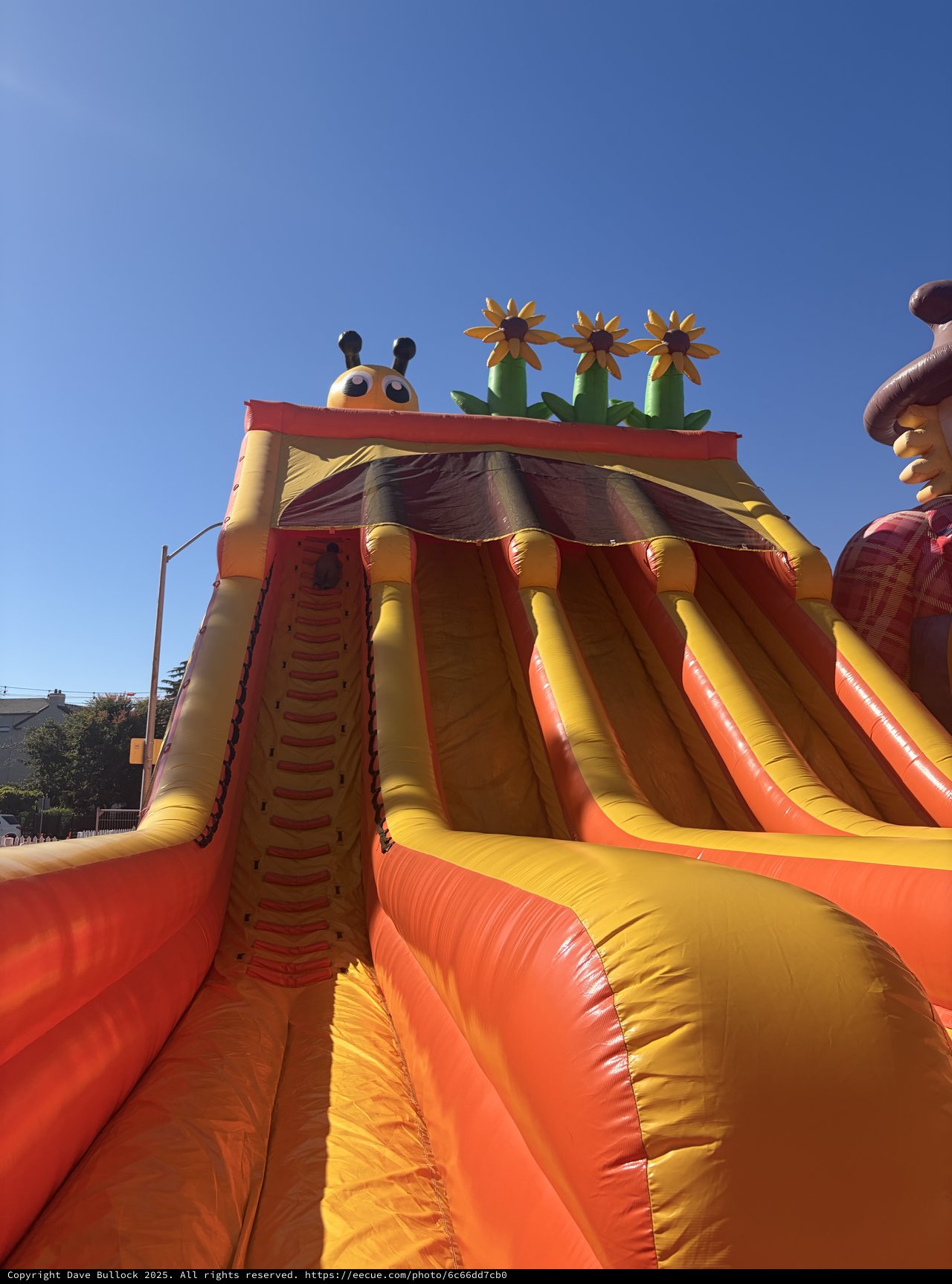 Colorful Inflatable Slide with Cheerful Garden Theme