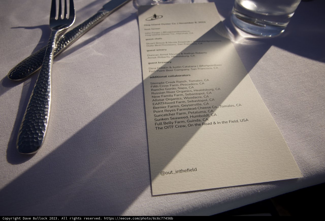 An Elegant Dining Experience