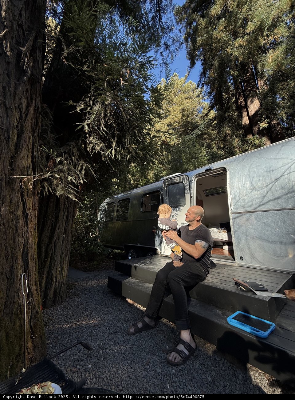Redwood Retreat